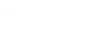 Trusted Choice Logo - 300 White